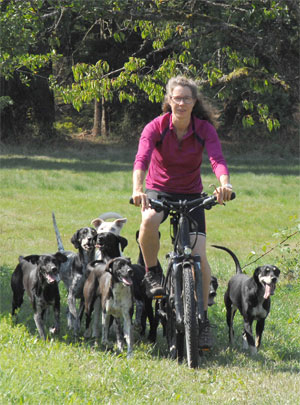 Fahrradtour mit Hunden